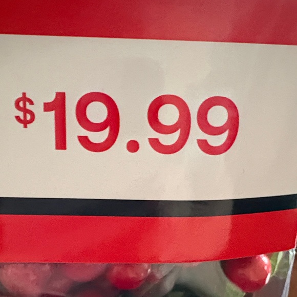 Hobby Lobby Red Berry Garland - Picture 5 of 5